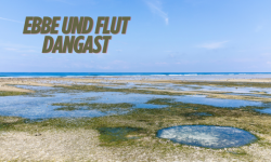 ebbe und flut